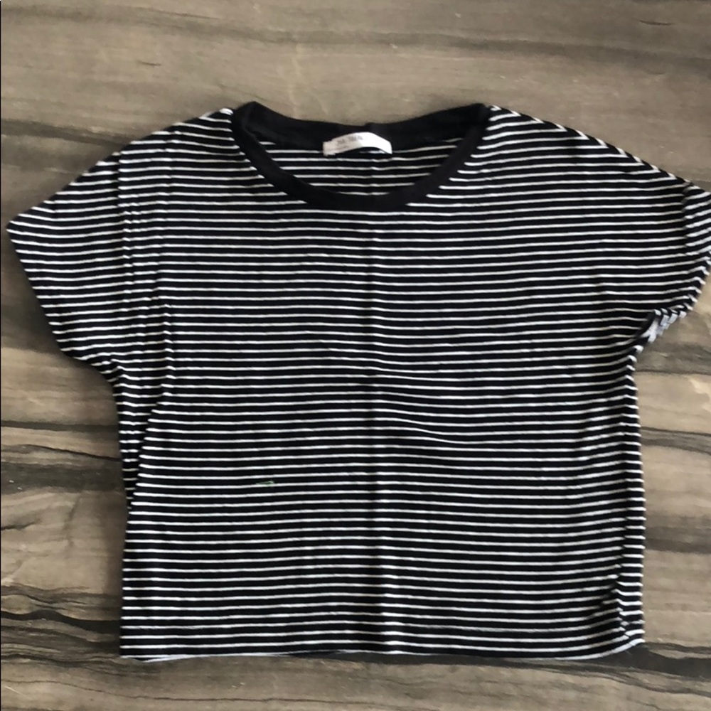 Zara Stripped Crop Top